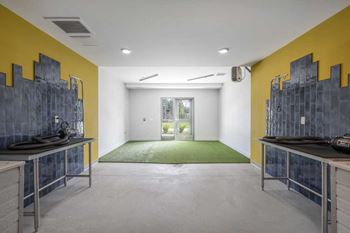 Pet spa with shower and grooming amenities